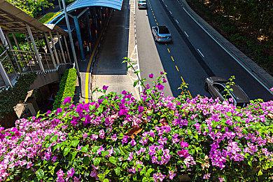 你知道吗？《使命召唤19》让玩家“犯下”22项战争罪行